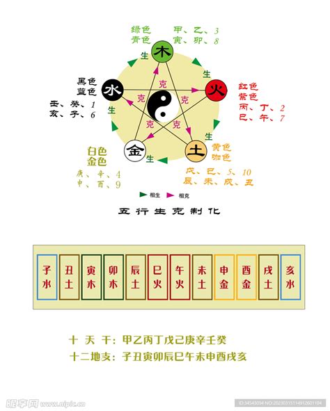 天干地支属性|十天干十二地支对应五行 十天干十二地支五行阴阳属性